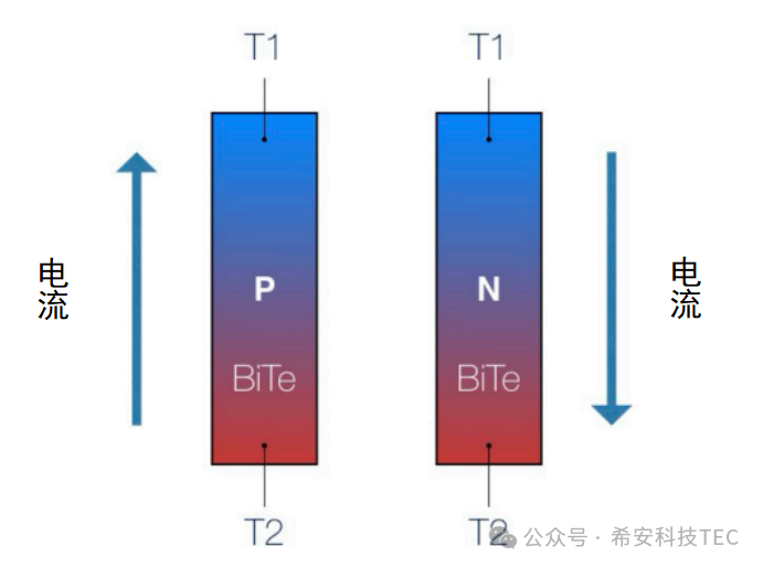 Hogyan működik a TEC?